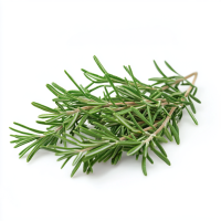 Rosemary Essential Oil