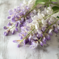 Wisteria Oil Blend