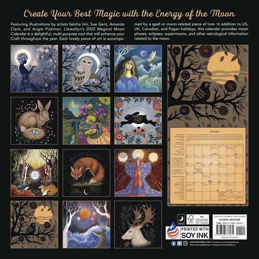 Magical Moon Wall Calendar 2025 Lunar Magic, Moon Phases