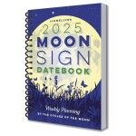 Llewellyn's Annual Moon Sign Datebook 2025