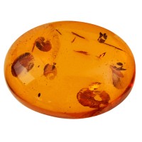 Amber Oil