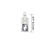 Pisces Silver and Gold Charm