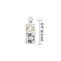 Cancer Silver and Gold Charm