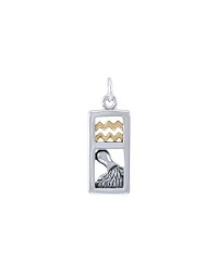 Aquarius Silver and Gold Charm