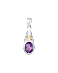 Capricorn Zodiac Sign Pendant with Amethyst