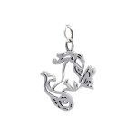 Capricorn Zodiac Symbol Charm