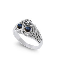 Owl with Labradorite Eyes and Star Ring