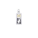 Pisces Silver and Gold Charm