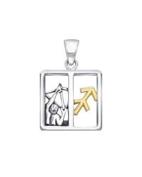 Sagittarius Zodiac Symbol Pendant