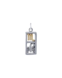 Scorpio Silver and Gold Charm