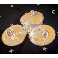 Shell Trio Dish with Silver Rims