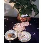 Shell Trio Dish with Silver Rims