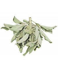 White Sage Leaves Loose Herb