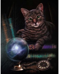 Fortune Teller Cat Canvas Print